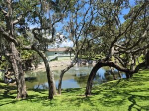 Condo Life in Tarpon Springs