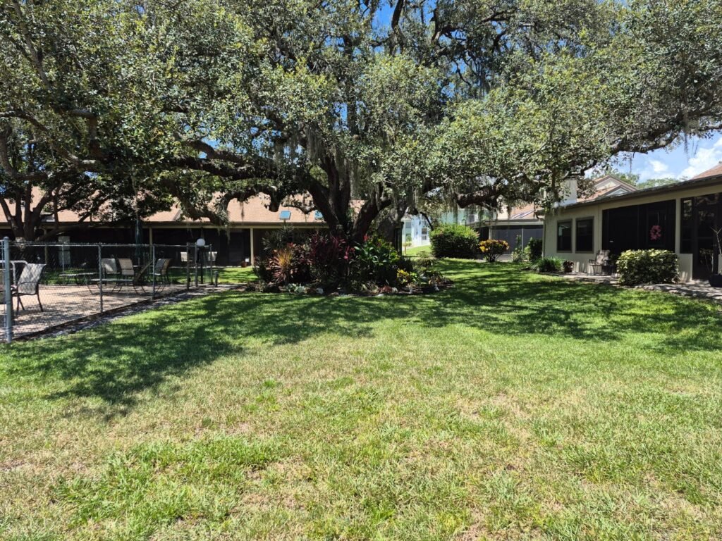 Condo Life in Tarpon Springs